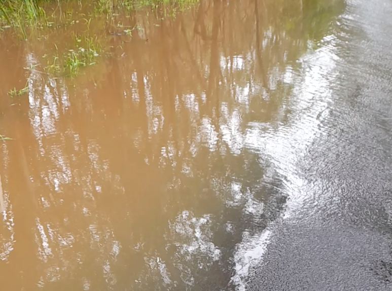 Flooding on Buttermans Track