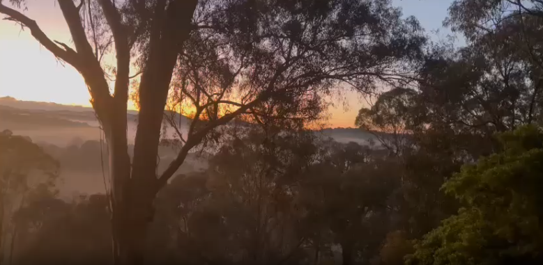 Christmas Hills