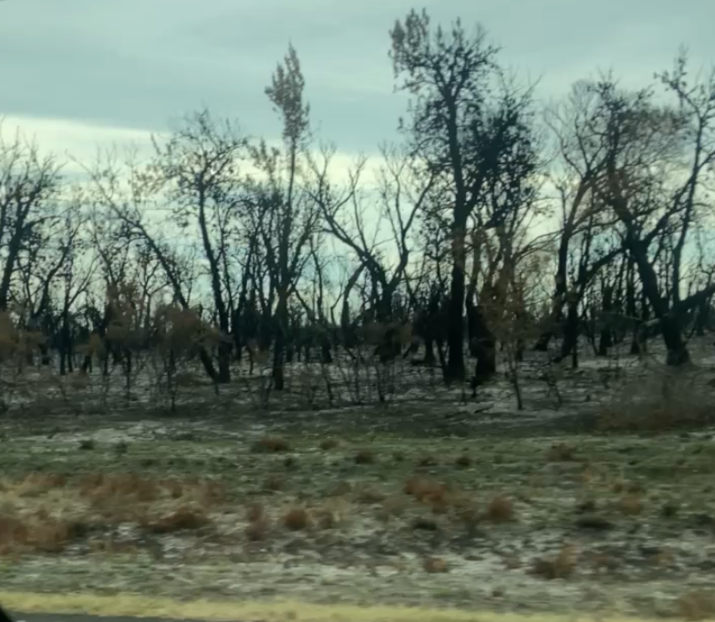 Bushfire in paradise
